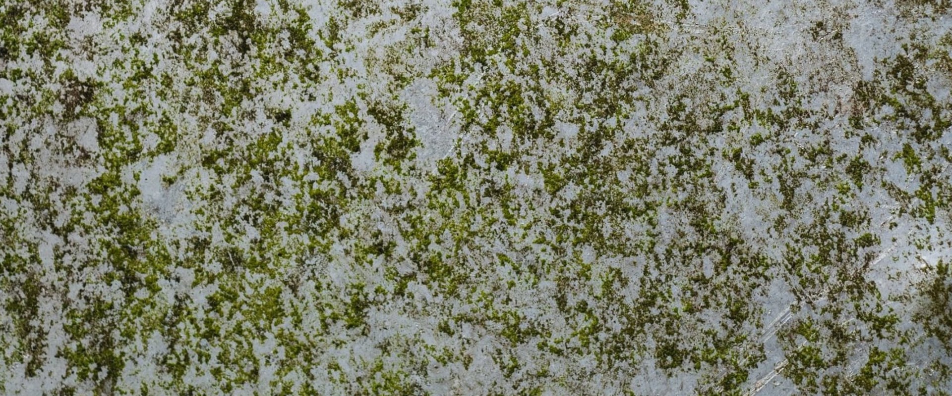 Do I Need to Have My Home's Ventilation System Inspected for Mold Before Installing a New HVAC System in Delray Beach, FL?